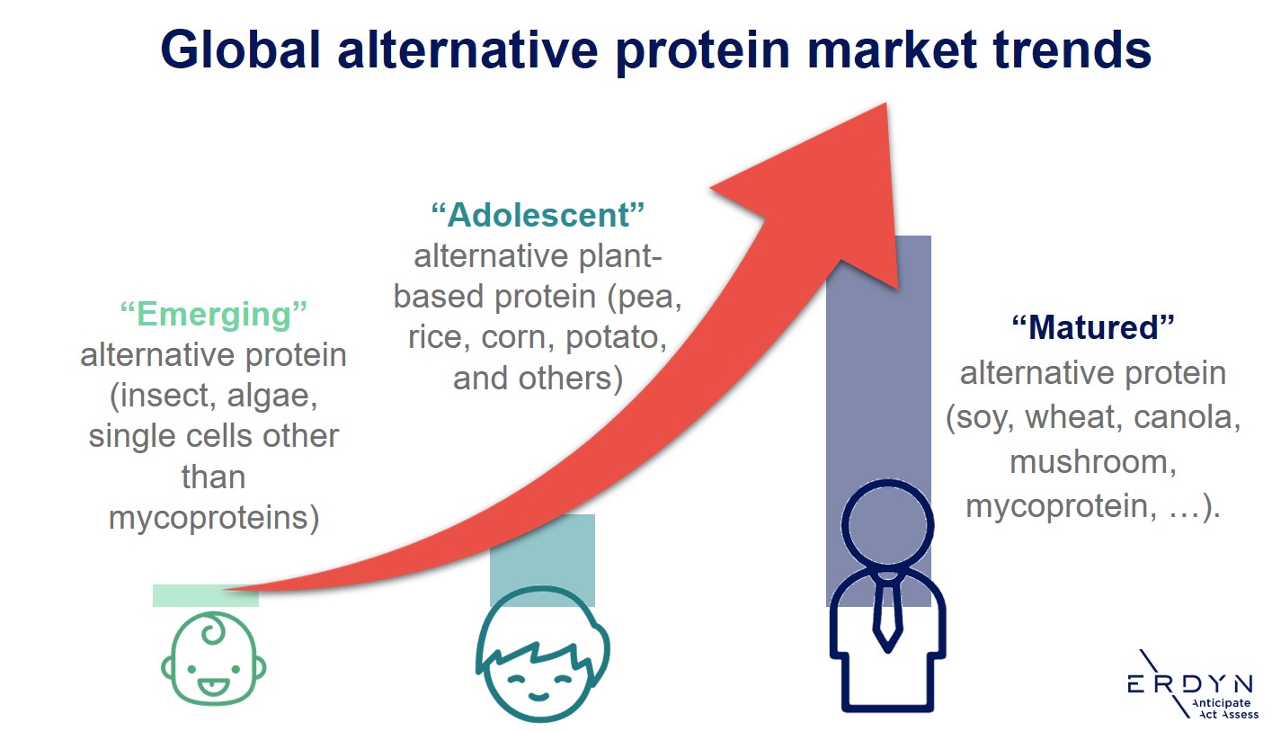 Alternative Proteins Market Part Trends Erdyn