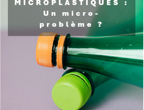 Les microplastiques dans les produits agroalimentaires, un nouvel enjeu sanitaire ?